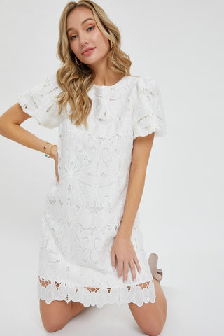 Always Elegant Lace Dress